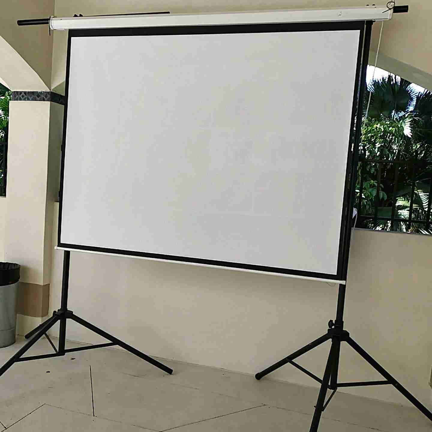 Projector Screen